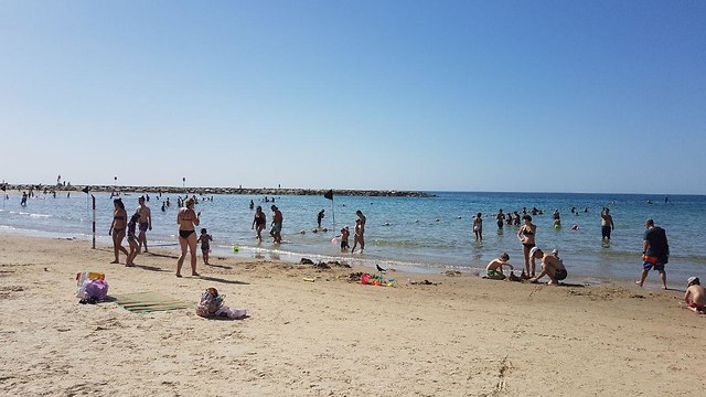 На пляже в Тель-Авиве. Фото: Асаф Кемер