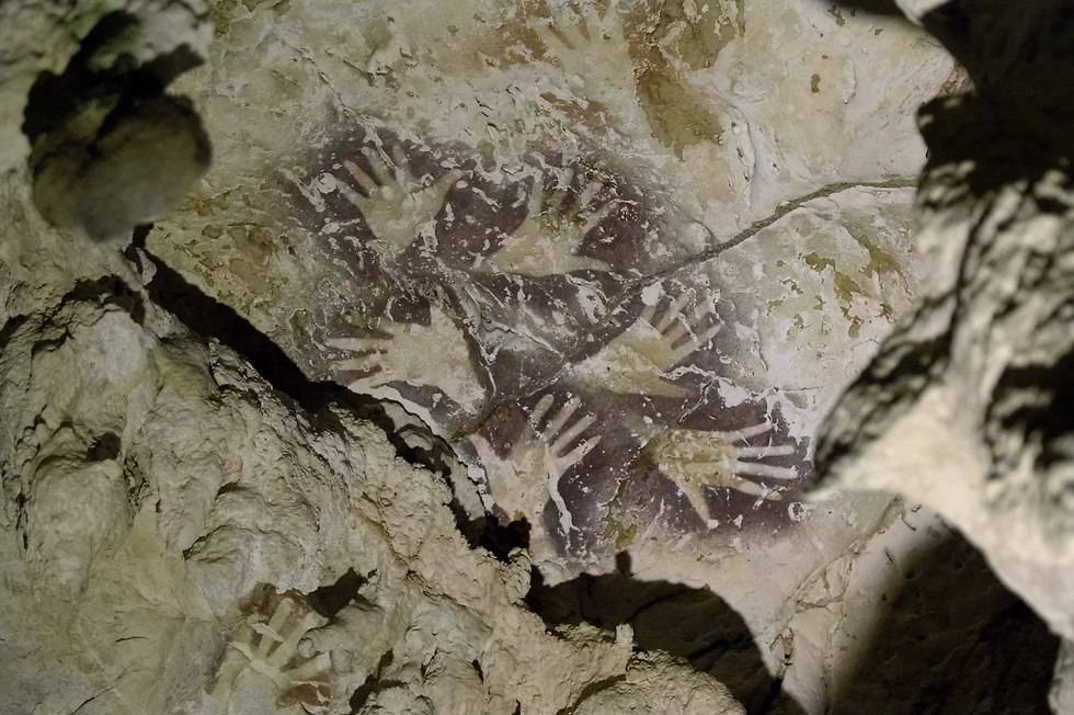 ציורים שהתגלו במערה בבורנאו (צילום: מתוך המחקר)