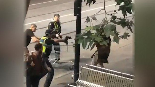 Задержание террориста в Мельбурне, ноябрь 2018 года