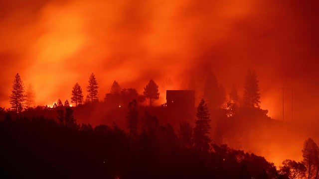 השריפות בקליפורניה (צילום: AFP)