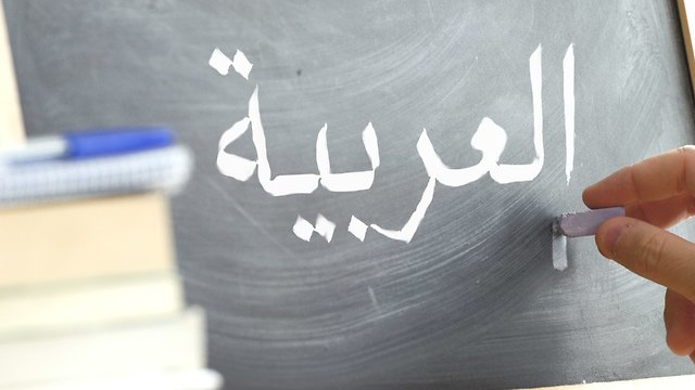 צרפת לימודי ערבית הפורום לחשיבה אזורית (צילום: shutterstock)