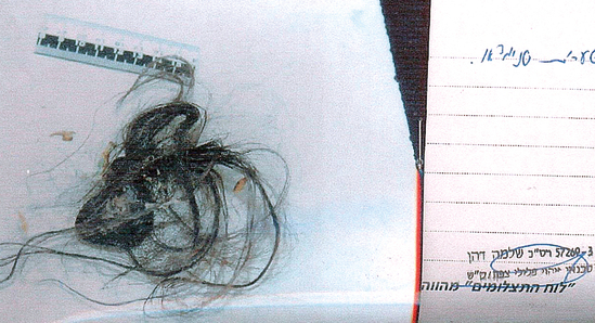 שערות מהפאה שנמצאו בפח האשפה, בקרבת זירת הרצח