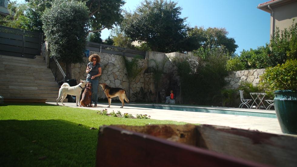 חגית צלרמאיר עם הכלבים צ'יקה, סטלה ובוטן (צילום: ארז ארליכמן)