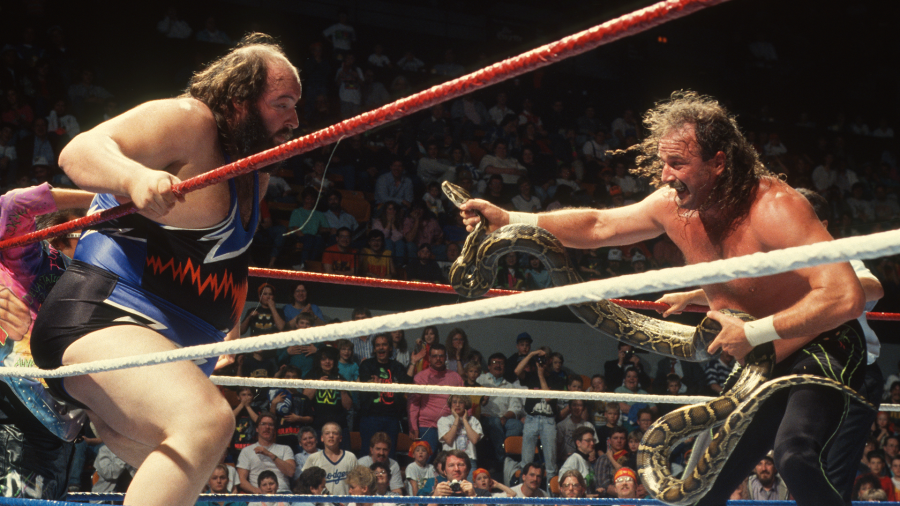 ג'ייק הנחש רוברטס (צילום: WWE)