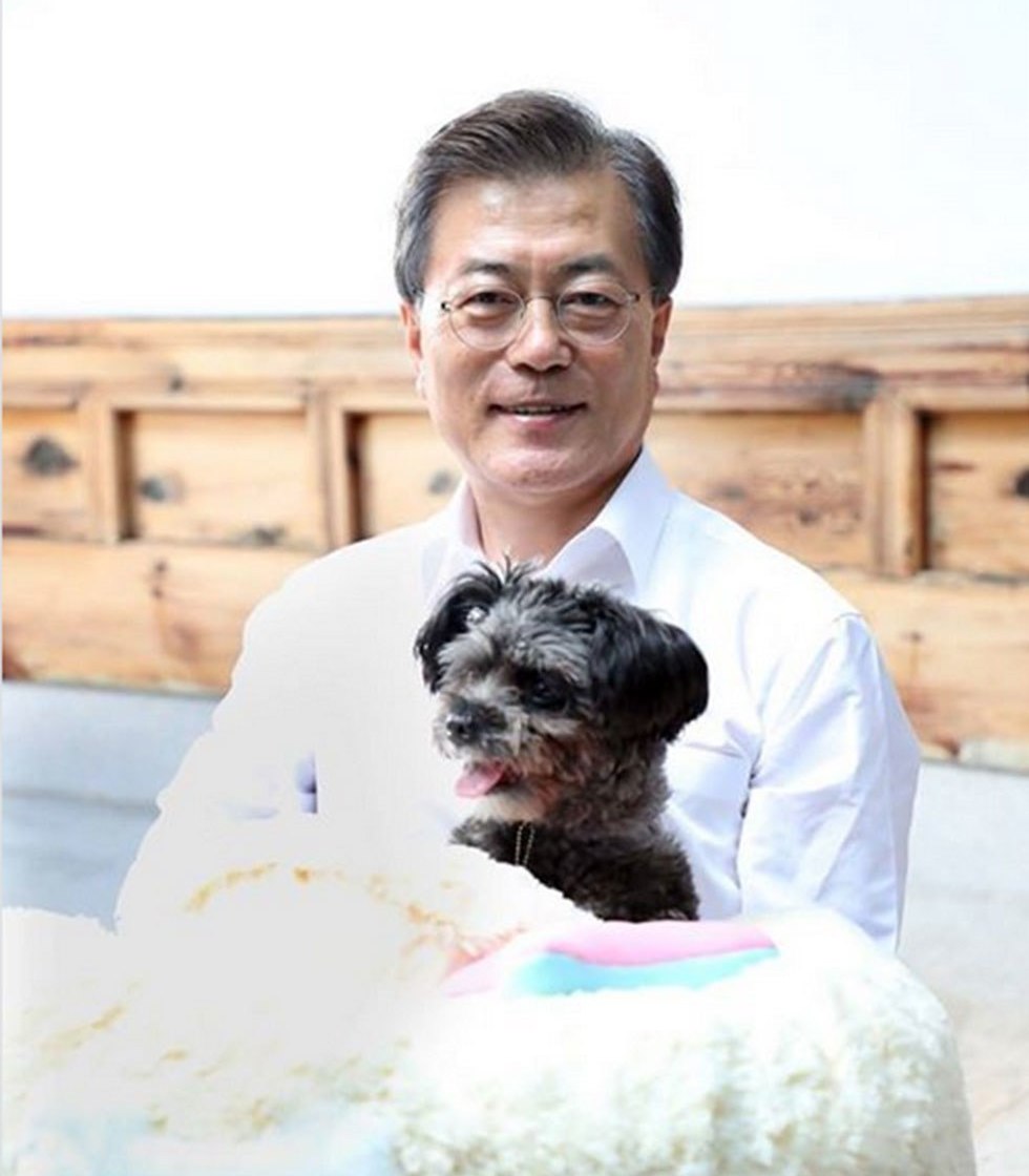 נשיא דרום קוריאה מון ג'יאה אין כלב כלבים גורים מ צפון קוריאה קים ג'ונג און  ()