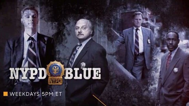NYPD BLUE (צילום: מתוך הסדרה)
