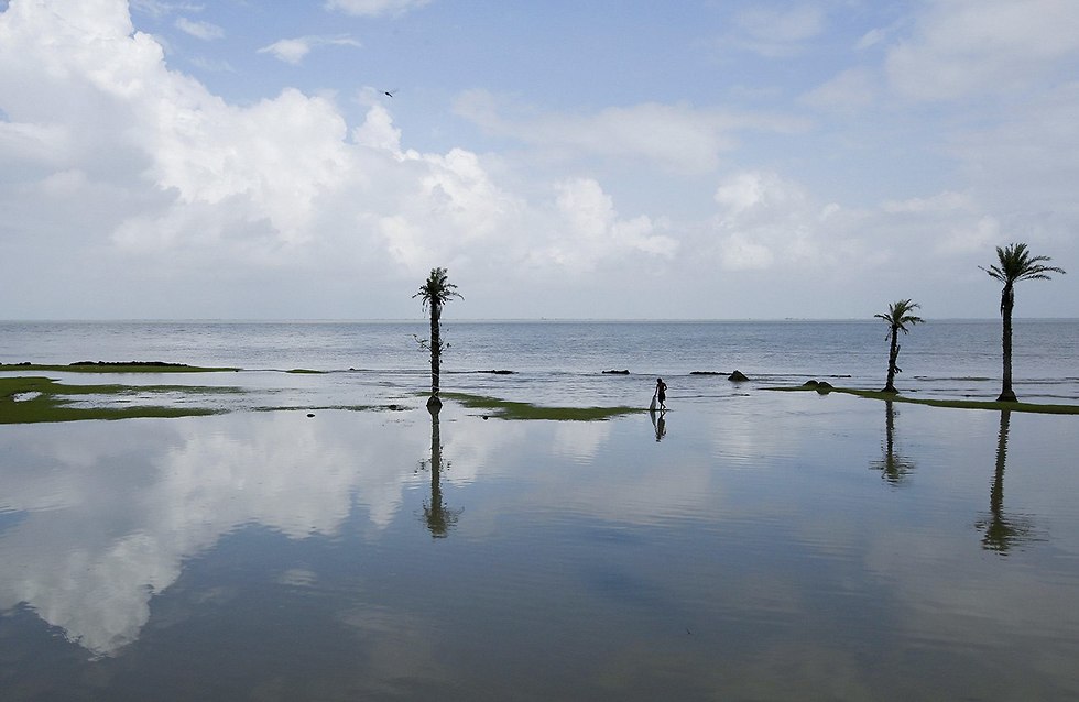 ה אי גוראמארה ב הודו עומד להיעלם בגלל ההתחממות הגלובלית (צילום: רויטרס)