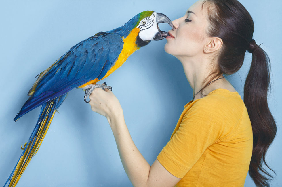 אל תגידו מוח של ציפור. הקליקו לכתבה (צילום: Shutterstock)