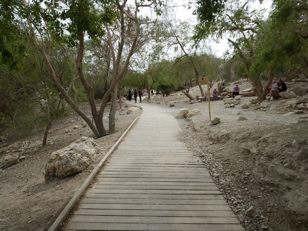 המפל הראשון בנחל דוד בעין גדי (צילום: הגר נחמיאס)