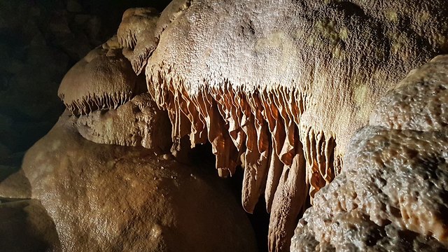 נטיפים מדהימים במערה (צילום: אסף קמר)