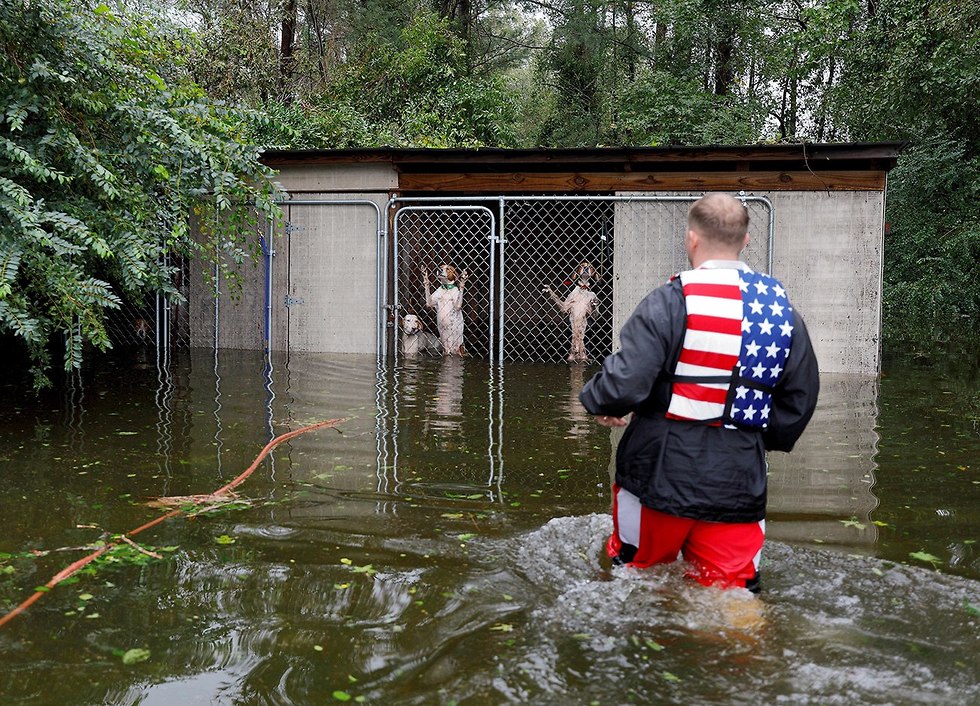 רויטרס תמונות השנה הצלת כלבים הוריקן פלורנס צפון קרוליינה ספטמבר (צילום: רויטרס)