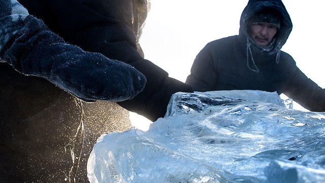 רוסיה יוקטיה במקום הכי קר בעולם בלי קרח אין חיים (צילום: AFP)
