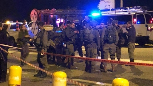 צילום: דובר צה