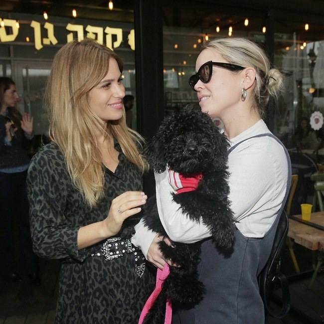 אפשר ללטף? תמי מונטג מגיעה פלוס 1 (צילום: שוקה כהן) אפשר ללטף? תמי מונטג מגיעה פלוס 1 (צילום: שוקה כהן)