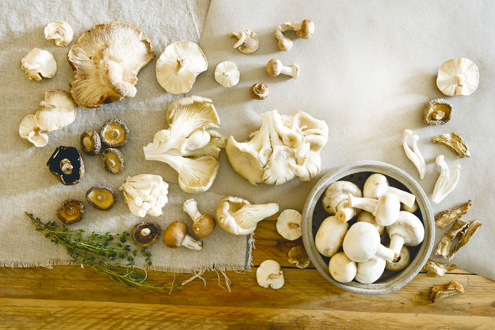 10 סיבות מוכחות לתת לפטריות הרבה יותר מקום בצלחת (צילום: יוסי סליס  סגנון: נטשה חיימוביץ')
