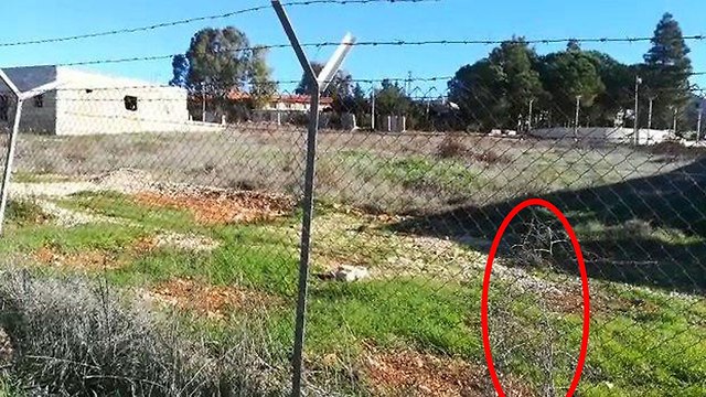 Дыра в заборе, через которую террорист проник в Бейт-Эль
