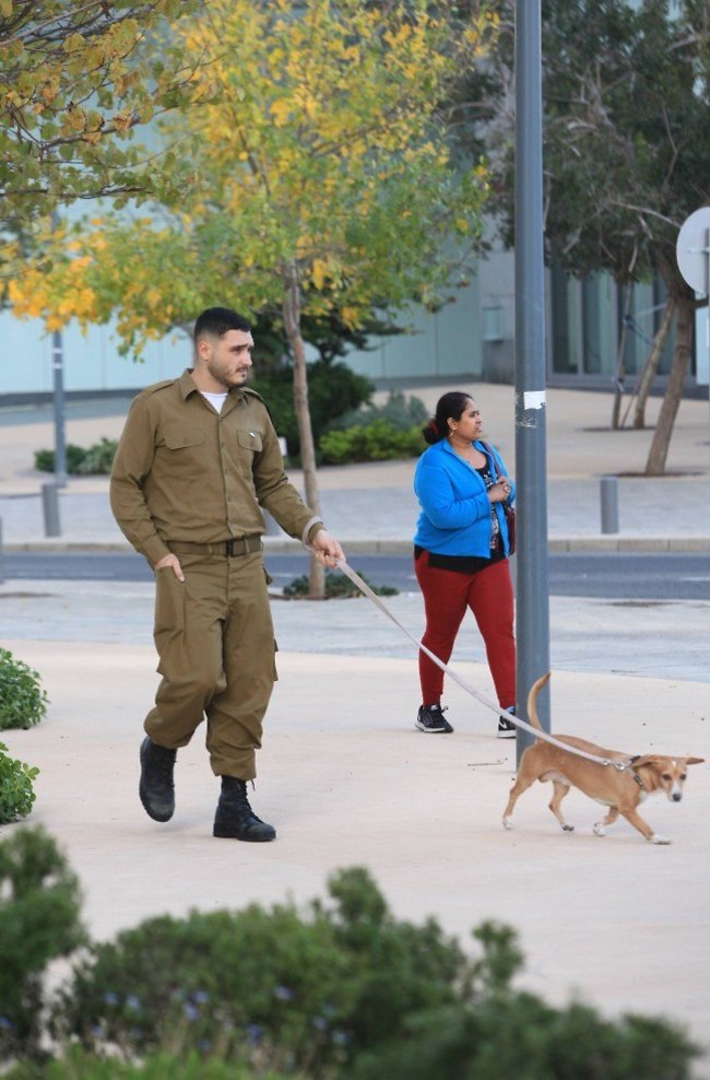 צה"ל? כבר באים! נדב גדג' (צילום: מוטי לבטון) צה"ל? כבר באים! נדב גדג' (צילום: מוטי לבטון)