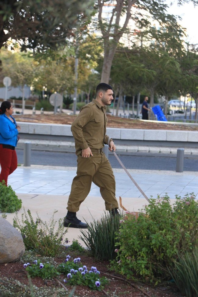 חייל, שפר הופעתך! (צילום: מוטי לבטון) חייל, שפר הופעתך! (צילום: מוטי לבטון)