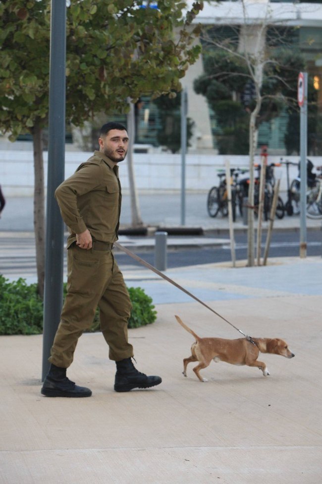 אנחנו בשלב הזה כבר היינו בדרך למשפט (צילום: מוטי לבטון) אנחנו בשלב הזה כבר היינו בדרך למשפט (צילום: מוטי לבטון)
