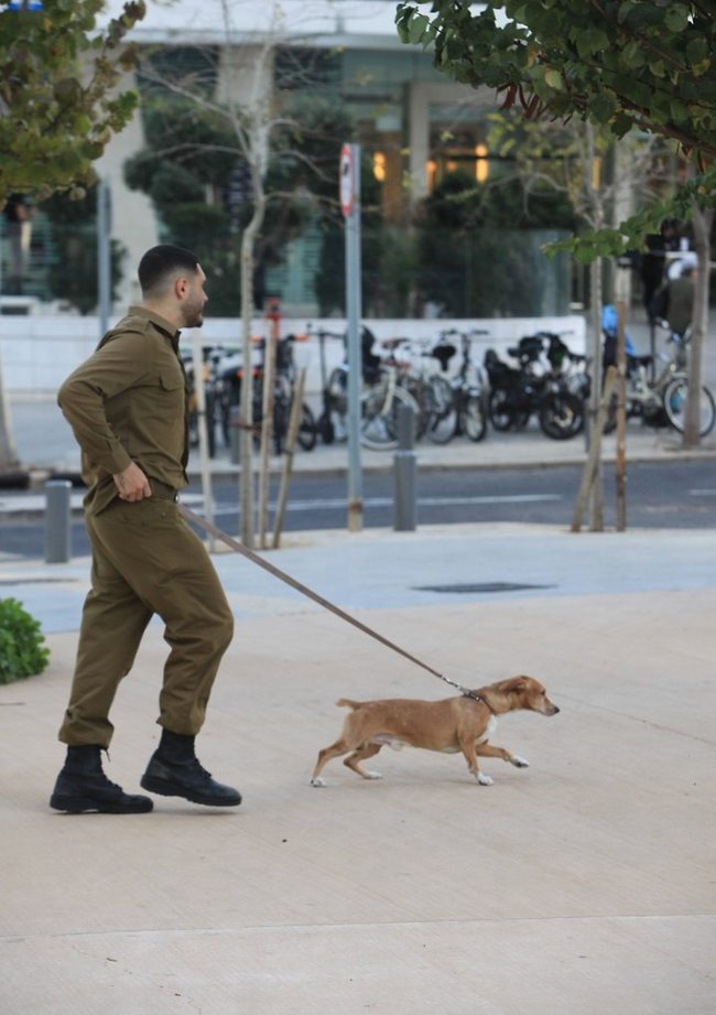 מנסה לשפר את ההופעה (צילום: מוטי לבטון) מנסה לשפר את ההופעה (צילום: מוטי לבטון)