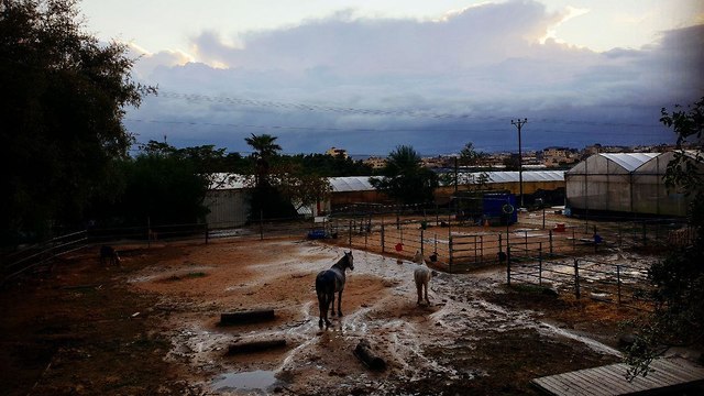 Непогода в Кфар-Хессe. Фото: Яир Саги