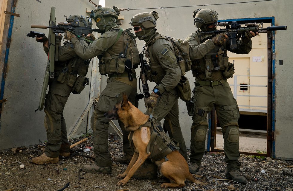 כלב התקיפה שאיתר את המחבל מברקן (צילום: דוברות משטרה)