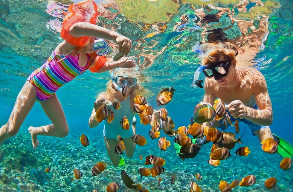 צילום: shutterstock