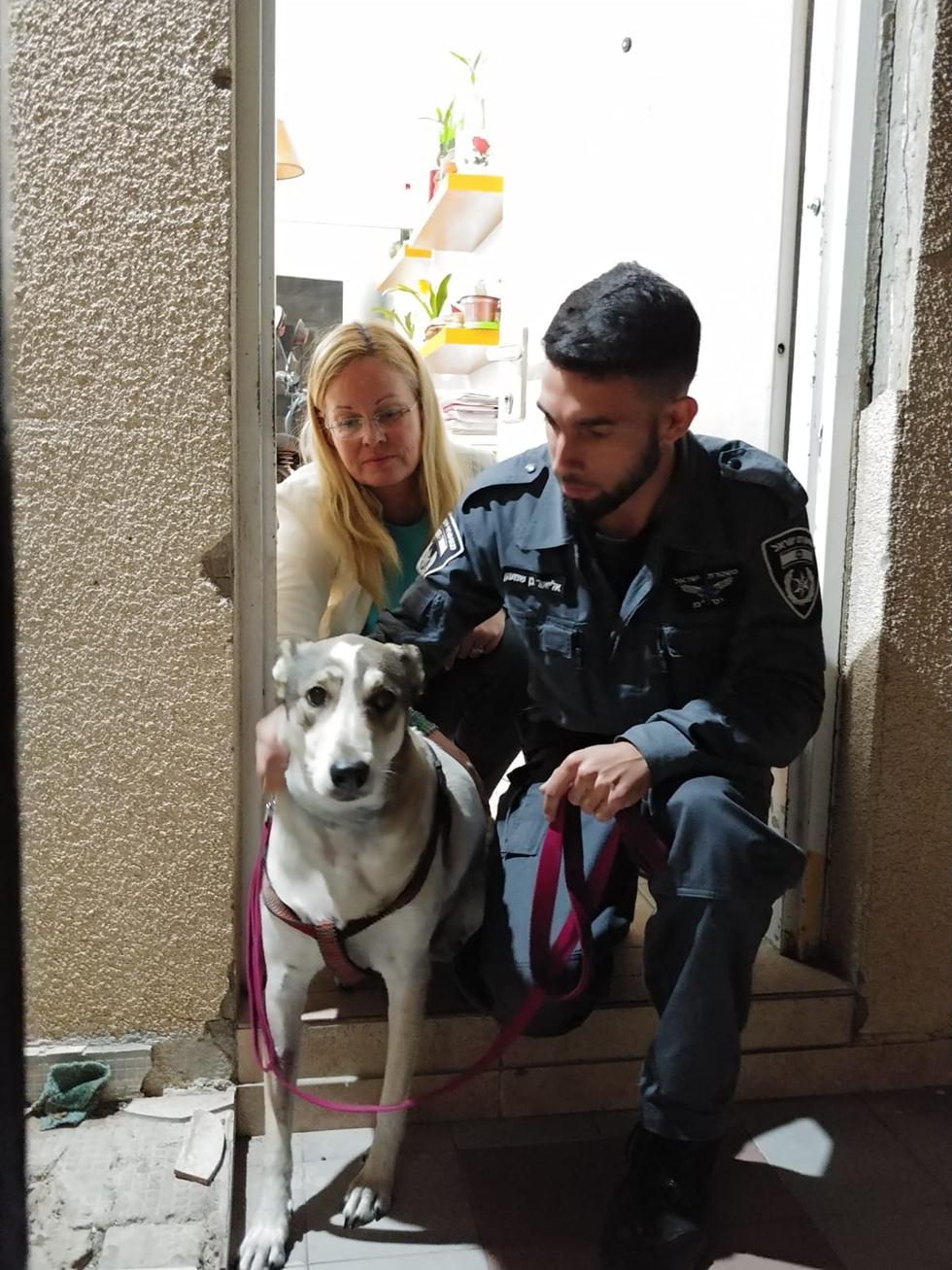 רגע הוצאת הכלבה מהבית בסיוע משטרת אילת (צילום: אילת אנימלס)