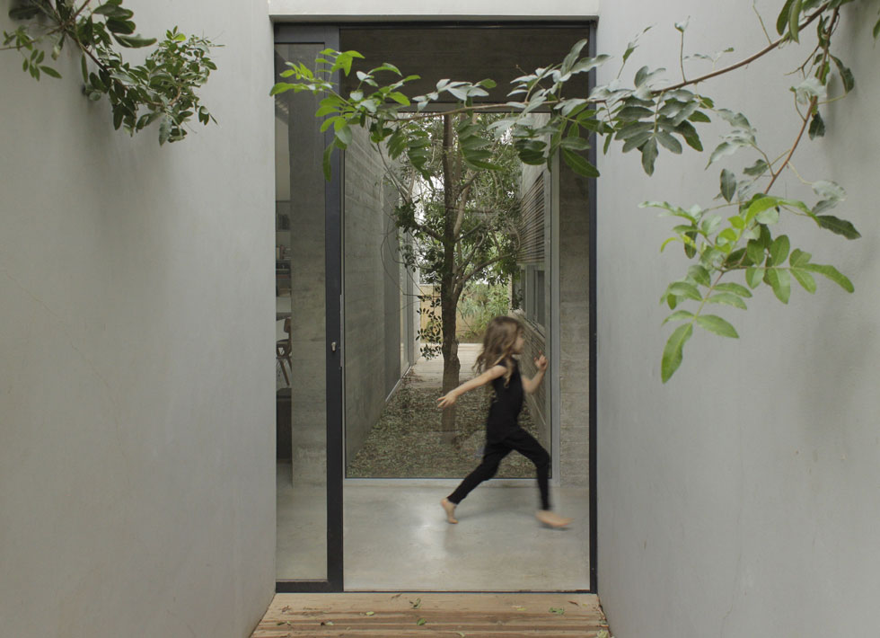 דלת הכניסה של הבית עשויה זכוכית, והדבר הראשון שרואים הוא ירוק. ''קישוט הוא זוטות, אבל המרחב שלנו אינו זוטות. הוא תורם לתחושת הביטחון והאושר שלנו'' (צילום: באדיבות studio id253)