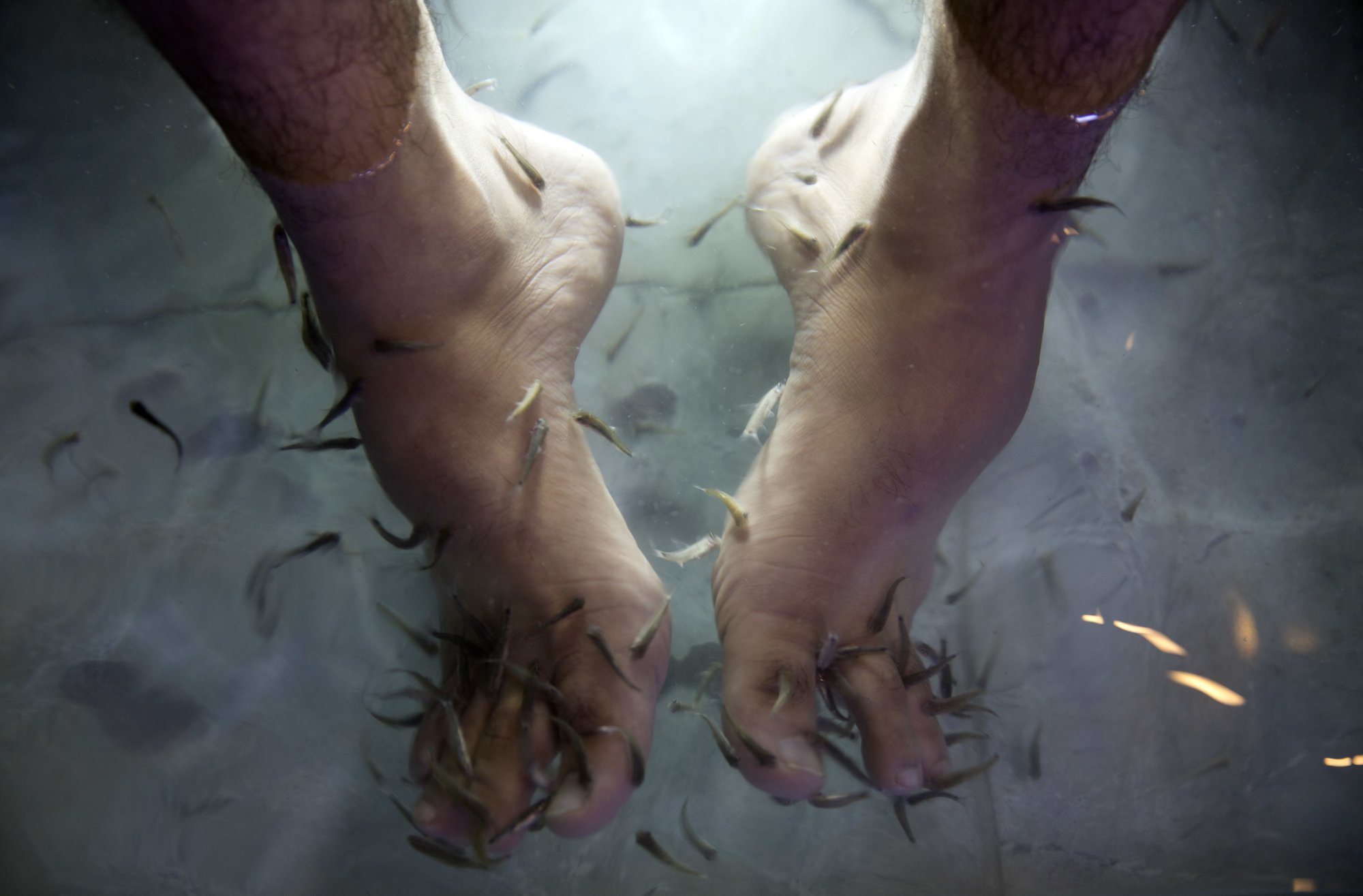 A man soaks his feet in tank stocked with fish at a cafe in Gaza City, December 26, 2018