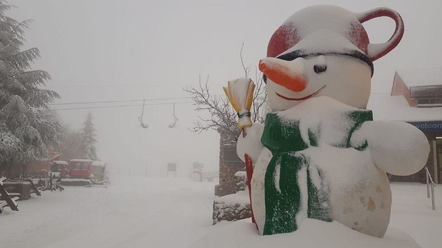 Снеговик приветствует посетителей