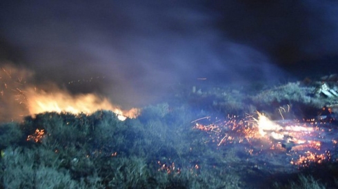 צילום: הודיה סעדיה/TPS
