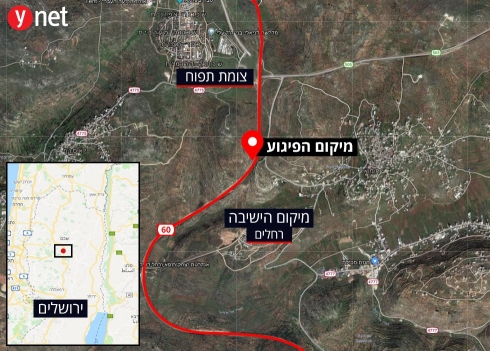 תמונה כללית