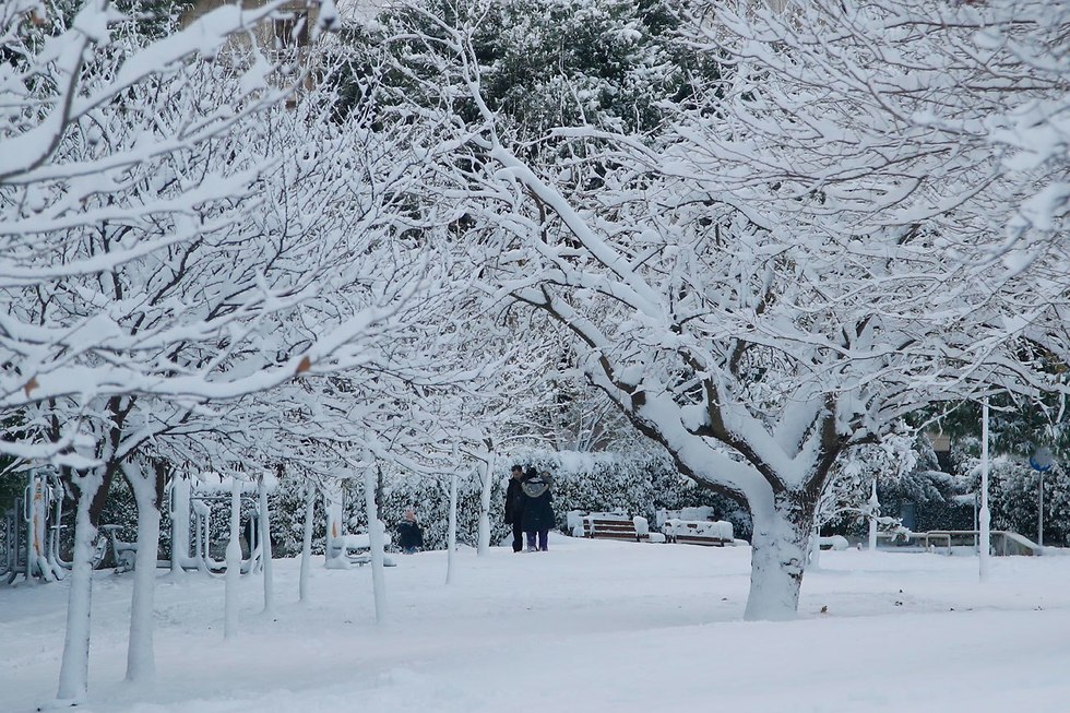 שלג באתונה  (צילום: AP)