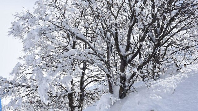 מזג אוויר- שלג בחרמון (צילום: אביהו שפירא)