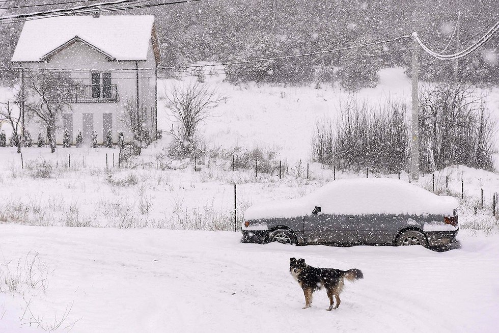 שלג קוסובו (צילום: AFP)