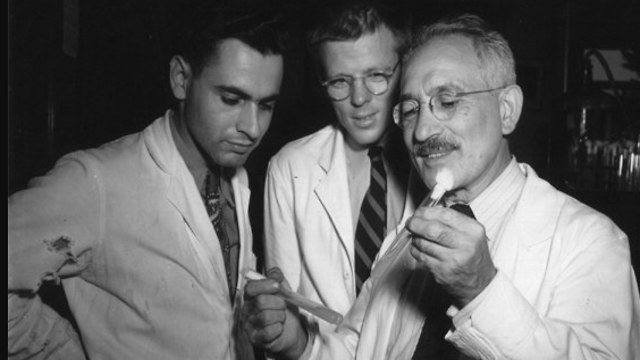 אלברט שץ (משמאל) וזלמן וקסמן (מימין) במעבדה (צילום: ארכיון אתר אוניברסיטת רטגרס)