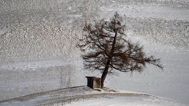 מפולת שלגים מלון שווייץ שלג (צילום: EPA)