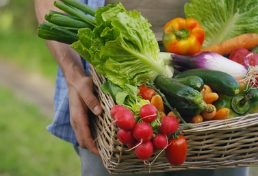 Хотите - собирайте клубнику, хотите - овощи. Фото: shutterstock