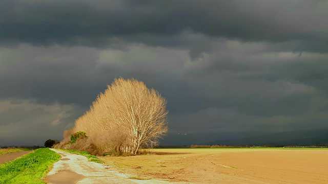 The stormy Hula Valley (Photo: Dror Galili)