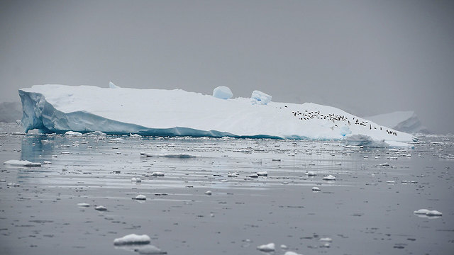 אנטארקטיקה קרחון נמס קרחונים הקוטב הדרומי (צילום: רויטרס)