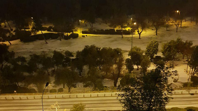 שלג בירושלים גן סאקר (צילום: אפרת בן ישי)