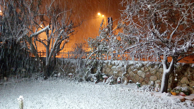 Snow in Gush Etzion (Photo: Evyatar Rosenberg)