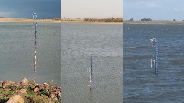 רמת המים במאגר בני ישראל ברמת הגולן לאורך 3 השבועות האחרונים (צילום: ידידיה רוט, איתי גור)