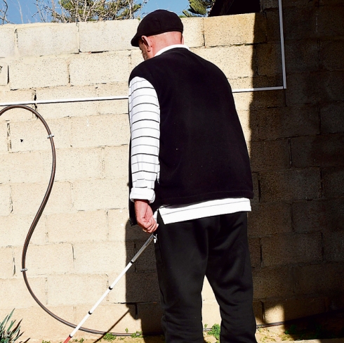 תמונה כללית