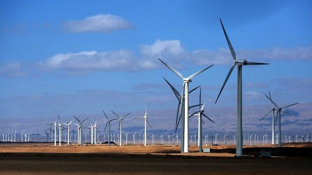 Windfarms in Egypt (Photo: EPA)