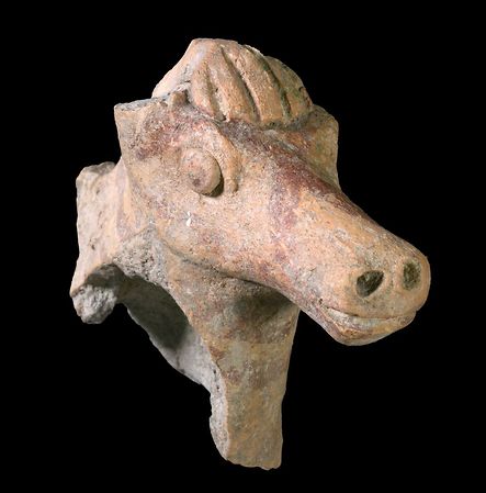 צלמית סוס מתקופת ממלכת ישראל שנמצאה באזור בית שאן (צילום: קלרה עמית, רשות העתיקות)