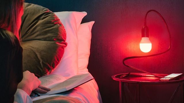 מלון בלורה בשבדיה מציע: לילה חינם לאורחים שלא יגלשו ברשתות חברתיות (צילום מתוך אתר skarmhjalpen.se)