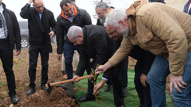 Netanyahu planting a tree in the former Netiv Ha'avot outpost (Photo: GPO)