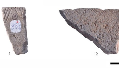 חלק מקערות שהתגלו (צילום: אוניברסיטת חיפה)
